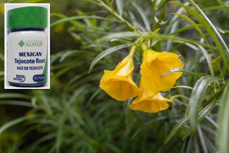 Amazon Listings DRAW Sudden FDA Crackdown