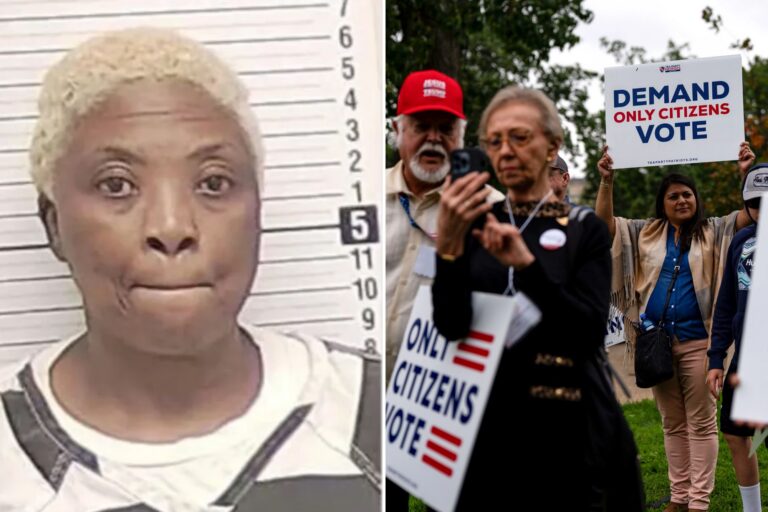 Non-Citizens VOTE For Years Before Federal Arrests