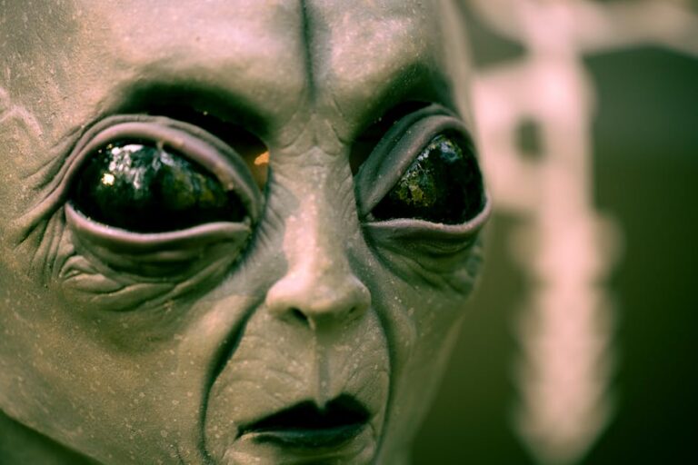 WHITE HOUSE Turns Immigration Data Into ALIEN TRACKER