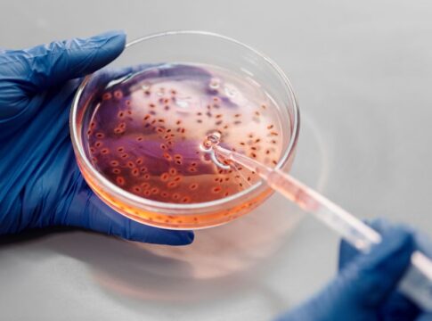 CRISPR Gene Editing: How It Works and What It Can Do — Science, Tech & Health coverage by CitizenPost