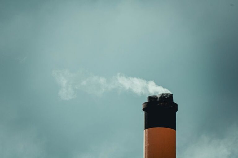 Carbon Tax vs Cap-and-Trade: Climate Policy Compared — Opinion coverage by CitizenPost